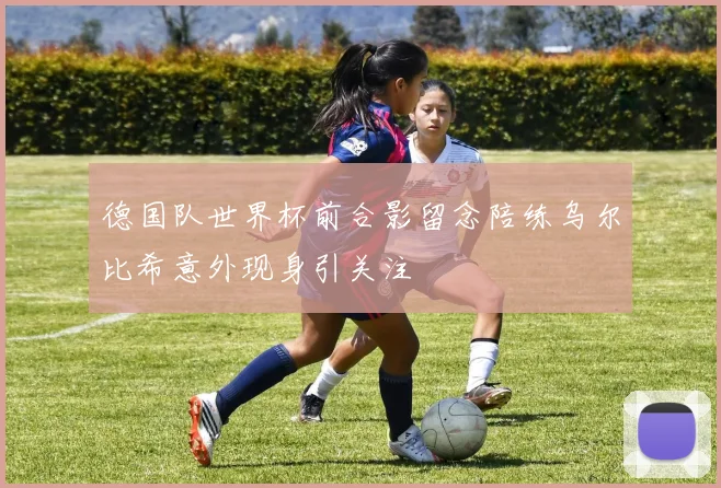 德国队世界杯前合影留念陪练乌尔比希意外现身引关注